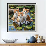 Cat 5d Diy Diamond Painting Kits UK Handwork Hobby FL3164