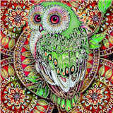 30*30cm Special Shape Owl 5d Diy Diamond Painting Kits UK HD5001