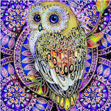 30*30cm Special Shape Owl 5d Diy Diamond Painting Kits UK HD5001