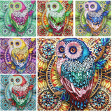 30*30cm Special Shape Owl 5d Diy Diamond Painting Kits UK HD5001