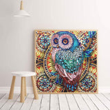 30*30cm Special Shape Owl 5d Diy Diamond Painting Kits UK HD5001