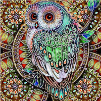 30*30cm Special Shape Owl 5d Diy Diamond Painting Kits UK HD5001