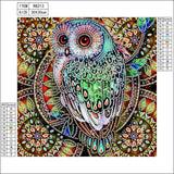 30*30cm Special Shape Owl 5d Diy Diamond Painting Kits UK HD5001