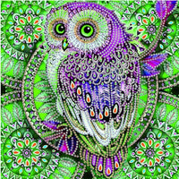 30*30cm Special Shape Owl 5d Diy Diamond Painting Kits UK HD5001