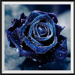 Rose 5D DIY Diamond Painting Kits UK VM90327