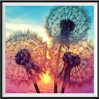 Dandelion Diamond Painting Kits UK Handwork Hobby VM1083