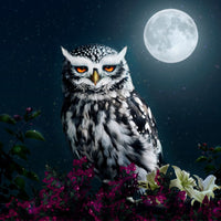 Owl 5d Diy Diamond Painting Kits UK Handwork Hobby DE120996018