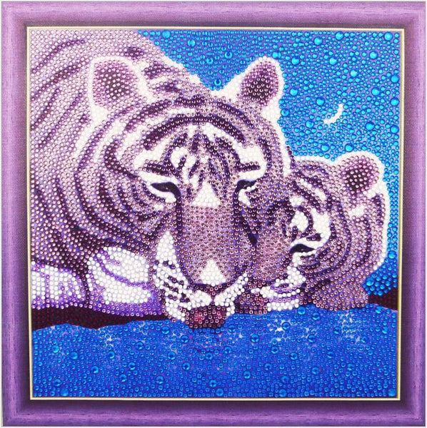 Easy For Kids Diamond Painting Kits Beginners Art Crafts With Frame DP8314