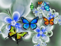 Butterfly 5d Diy Diamond Painting Kits UK Handwork Hobby DS111280553