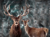 Deer 5d Diy Diamond Painting Kits UK Handwork Hobby DS162034406