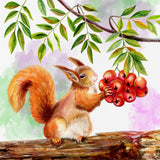 Squirrel 5d Diy Diamond Painting Kits UK Handwork Hobby DS198130166