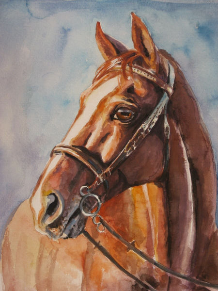 Horse 5d Diy Diamond Painting Kits UK Handwork Hobby IT145131598