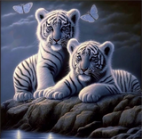 Tiger 5d Diy Diamond Painting Kits UK Handwork Hobby MJ1208