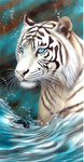 Tiger 5d Diy Diamond Painting Kits UK Handwork Hobby MJ1221
