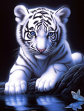 Tiger 5d Diy Diamond Painting Kits UK Handwork Hobby MJ1265