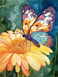 Butterfly 5d Diy Diamond Painting Kits UK Handwork Hobby MJ1568