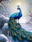 Peacock 5d Diy Diamond Painting Kits UK Handwork Hobby MJ1606