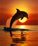 Dolphin 5d Diy Diamond Painting Kits UK Handwork Hobby MJ1748