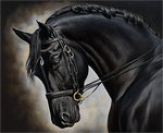 Horse 5d Diy Diamond Painting Kits UK Handwork Hobby MJ9365
