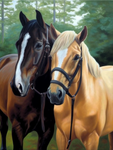 Horse 5d Diy Diamond Painting Kits UK Handwork Hobby MJ9412