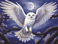 Owl 5d Diy Diamond Painting Kits UK Handwork Hobby MJ9807