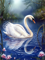 Swan 5d Diy Diamond Painting Kits UK Handwork Hobby MJ9883