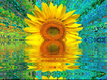 Sunflower 5d Diy Diamond Painting Kits UK Handwork Hobby PX2430820