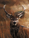 Deer 5d Diy Diamond Painting Kits UK Handwork Hobby PX5257454