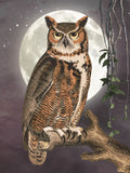 Owl 5d Diy Diamond Painting Kits UK Handwork Hobby PX6164884