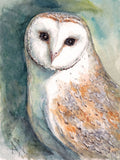 Owl 5d Diy Diamond Painting Kits UK Handwork Hobby RF146294945