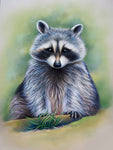 Raccoon 5d Diy Diamond Painting Kits UK Handwork Hobby SS1746161936