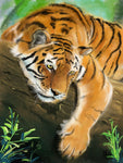 Tiger 5d Diy Diamond Painting Kits UK Handwork Hobby SS1887817654