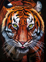 Tiger 5d Diy Diamond Painting Kits UK Handwork Hobby SS1902883918