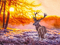 Deer 5d Diy Diamond Painting Kits UK Handwork Hobby SS1992679496