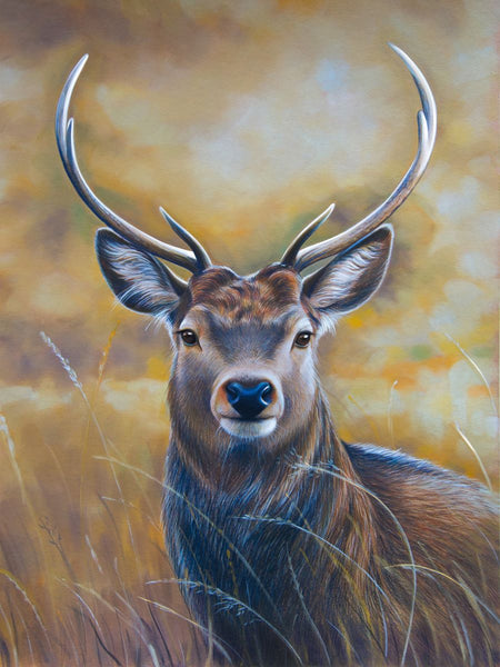 Deer 5d Diy Diamond Painting Kits UK Handwork Hobby SS2011116188